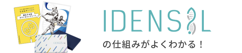 IDENSILで稼げる仕組みがよくわかる！